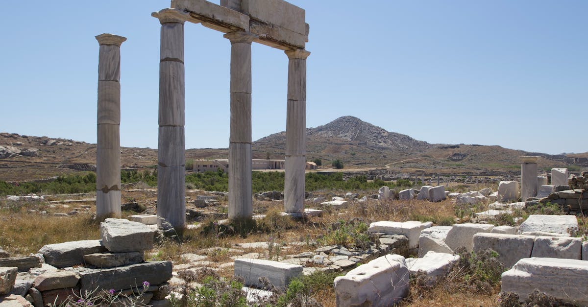 delos-tour-guide